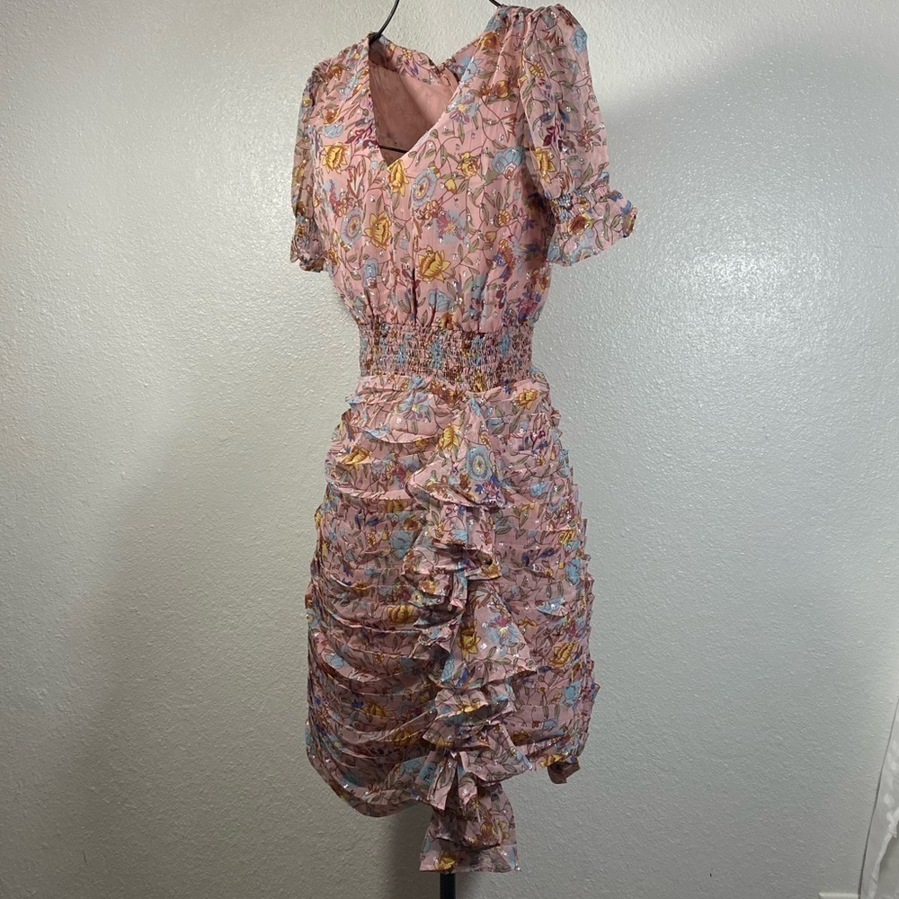 NWT Walter Baker Mars dress in pink primrose size 4 - Picture 11 of 16